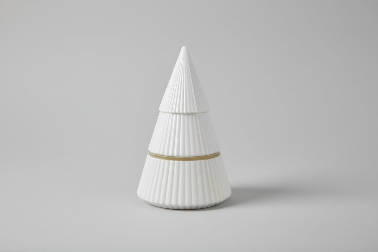 White Birch + Winter Wonderland